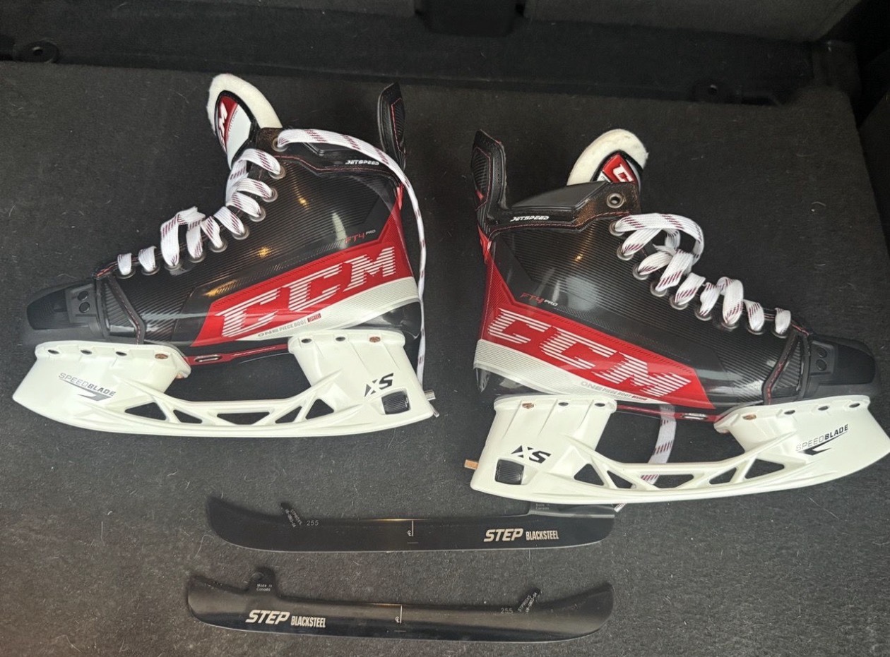 Ice hockey skates with blade guards